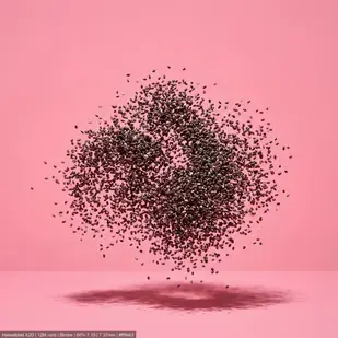 Chia Seeds